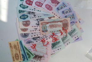 钱币收藏升值虽快,但入行投资也需 专业