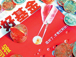 投资者看重避险 货币基金再度现身