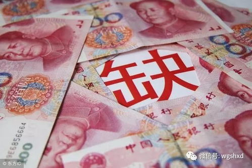 农民为何不愿农村 煤改气 农民陈述5点理由,专家听了也同意