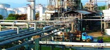 从县办小厂到地炼巨头 解密一家炼化企业的逆袭之路